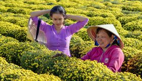 Capture the authentic charm of Vietnam’s lush scene